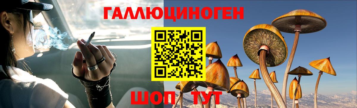 Галлюциногенные грибы Magic Shrooms Абинск